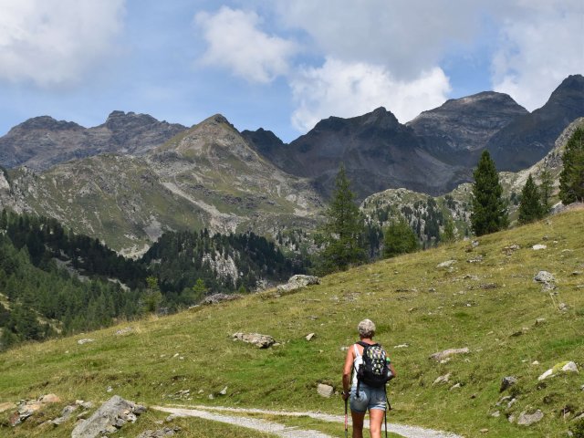 wandern_naturpark_rommisa_1.jpg